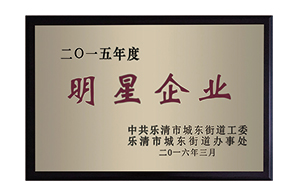 2016樂(lè)清市明星企業(yè)