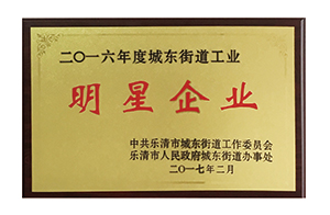 2017樂(lè)清市明星企業(yè)